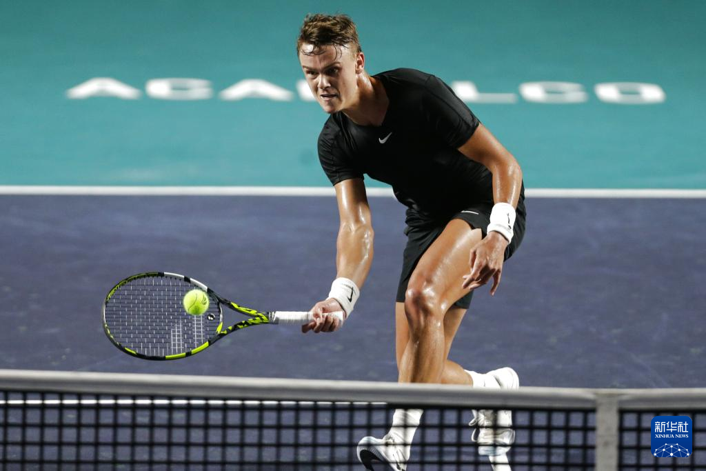 丁汉森林 丁汉森林