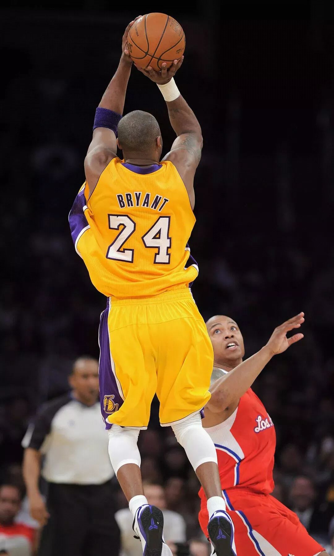 体成分的协 体成分的协